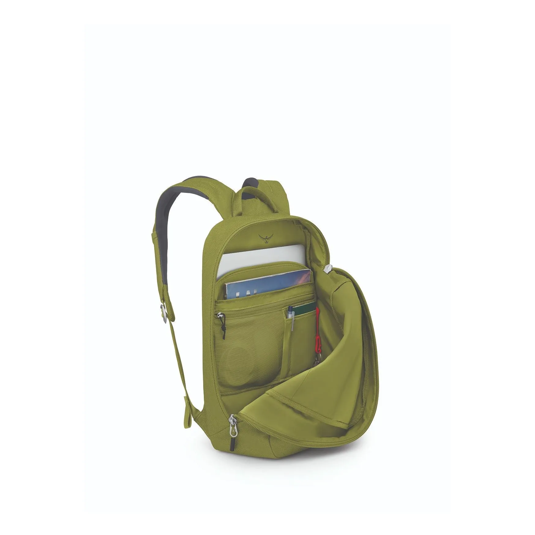 Arcane Large Day Pack 20 - Past Season