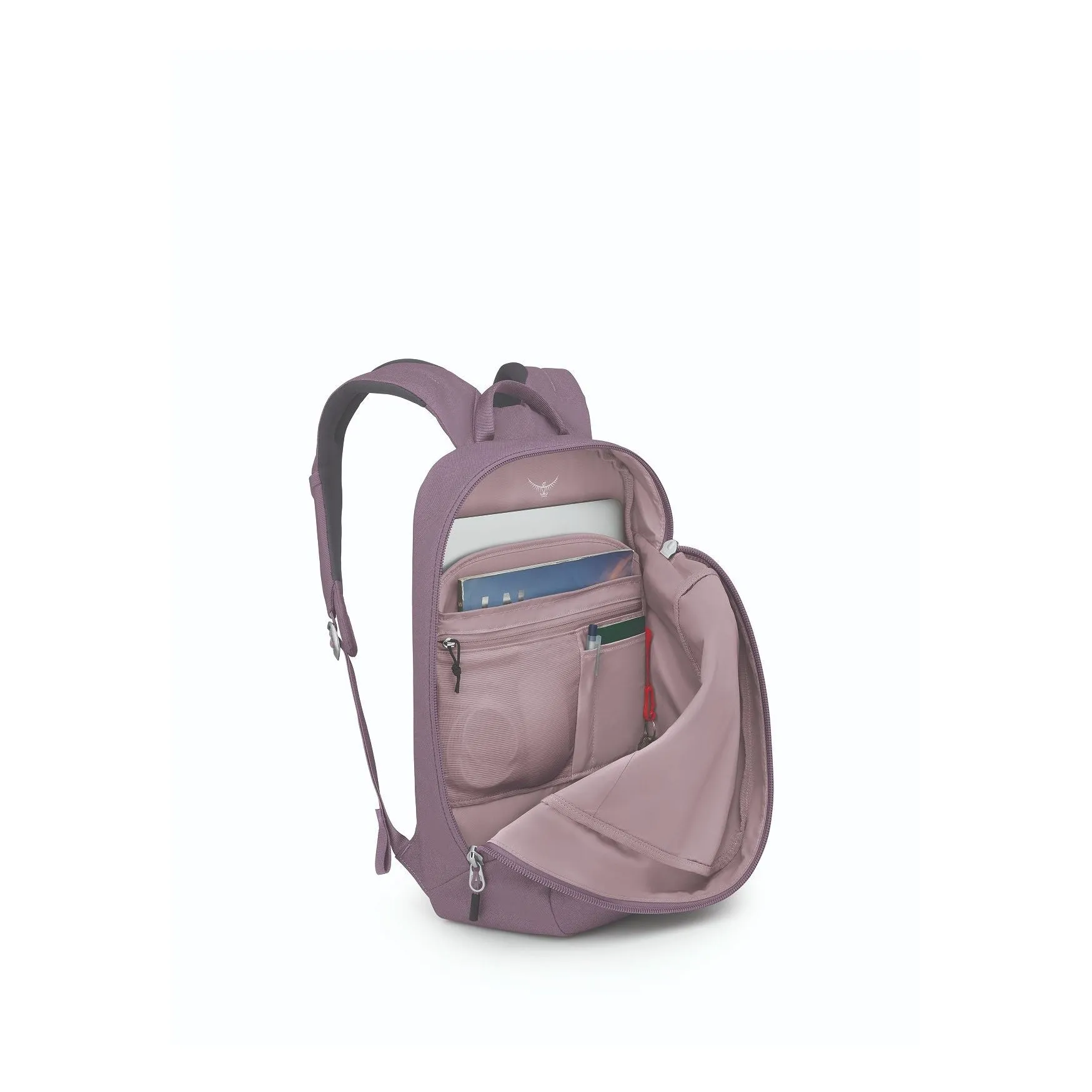 Arcane Large Day Pack 20 - Past Season