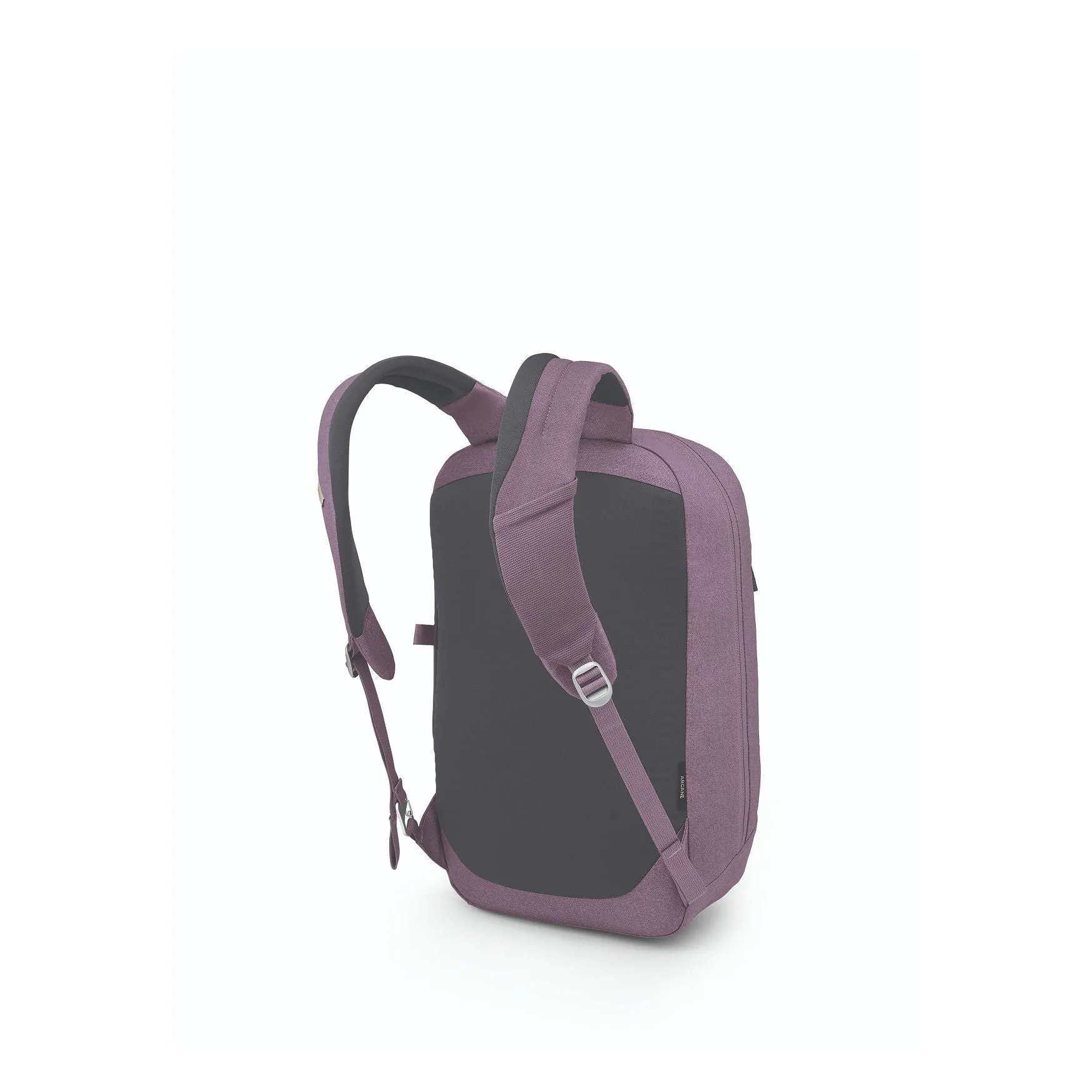 Arcane Large Day Pack 20 - Past Season
