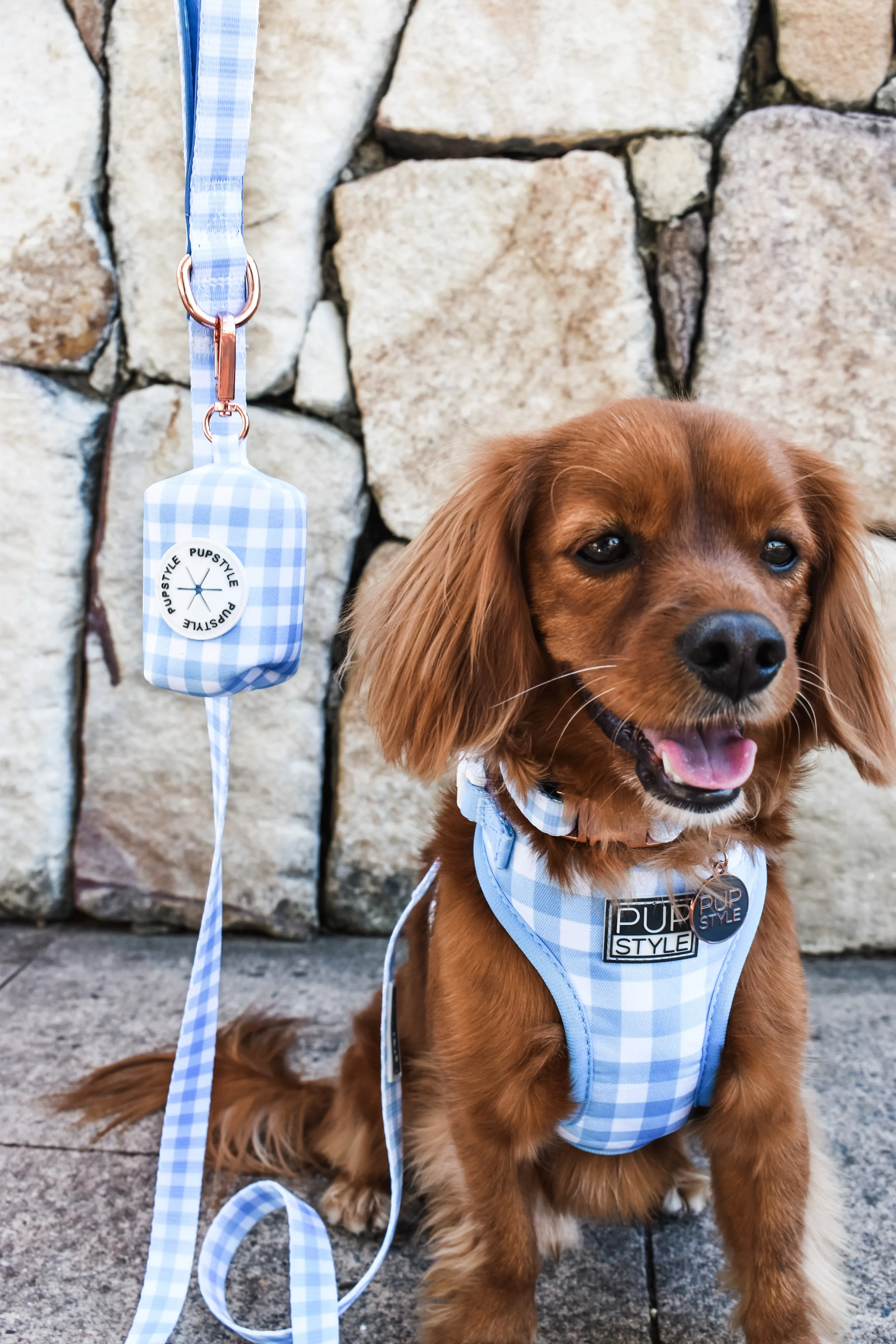Blueberry Muffin Poop Bag Holder