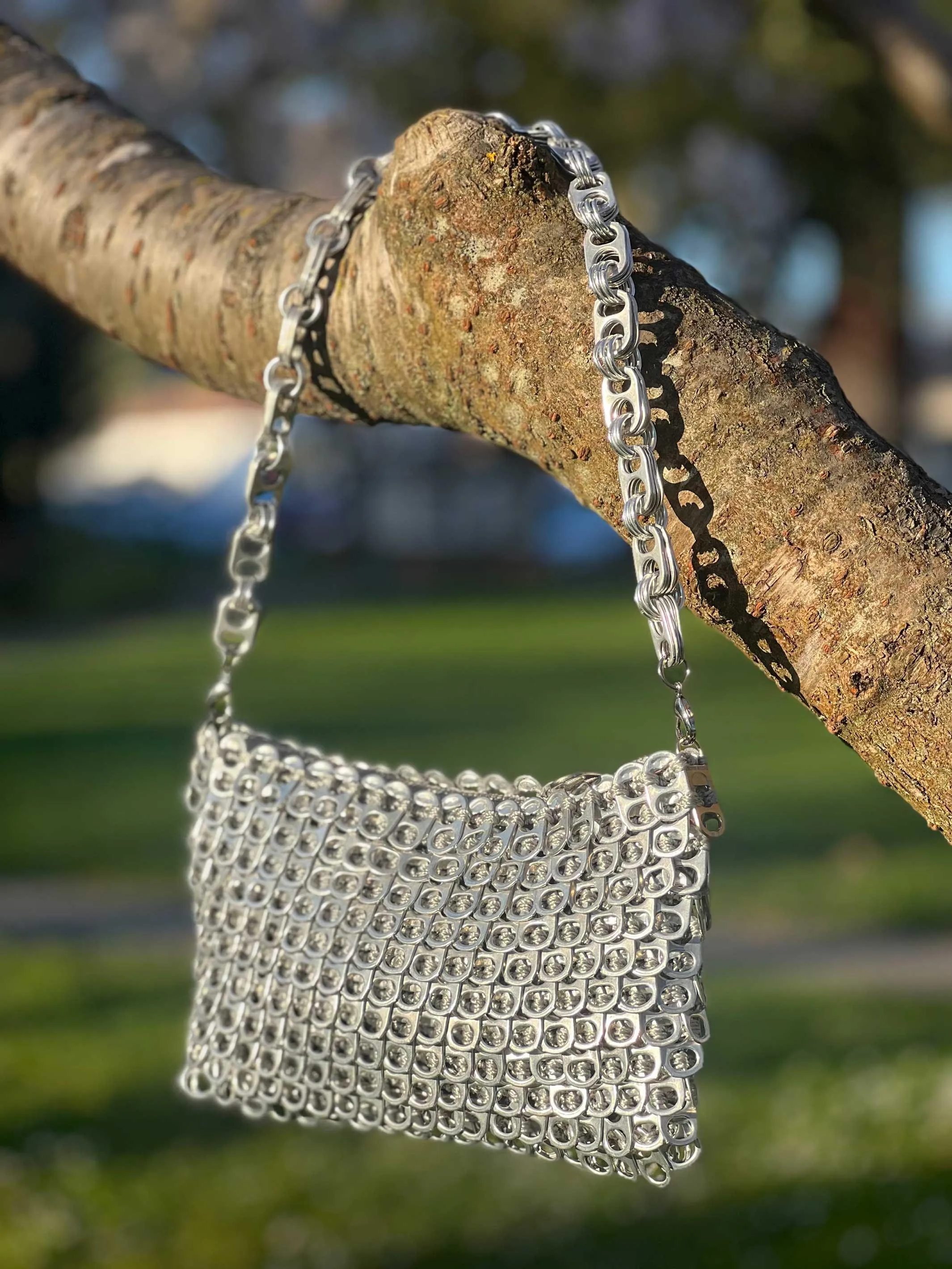 Chain Strap Purse | Lenilda