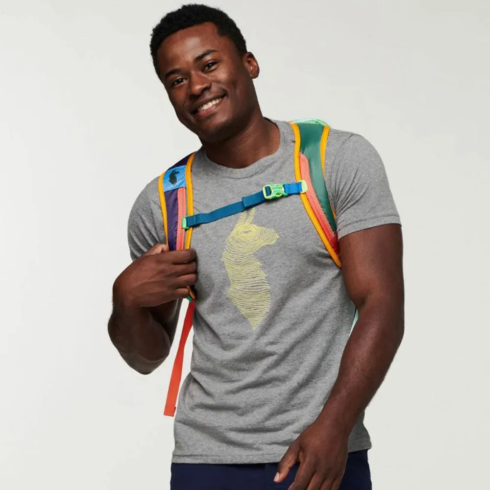 Cotopaxi Batac 24L Backpack - Del Dia