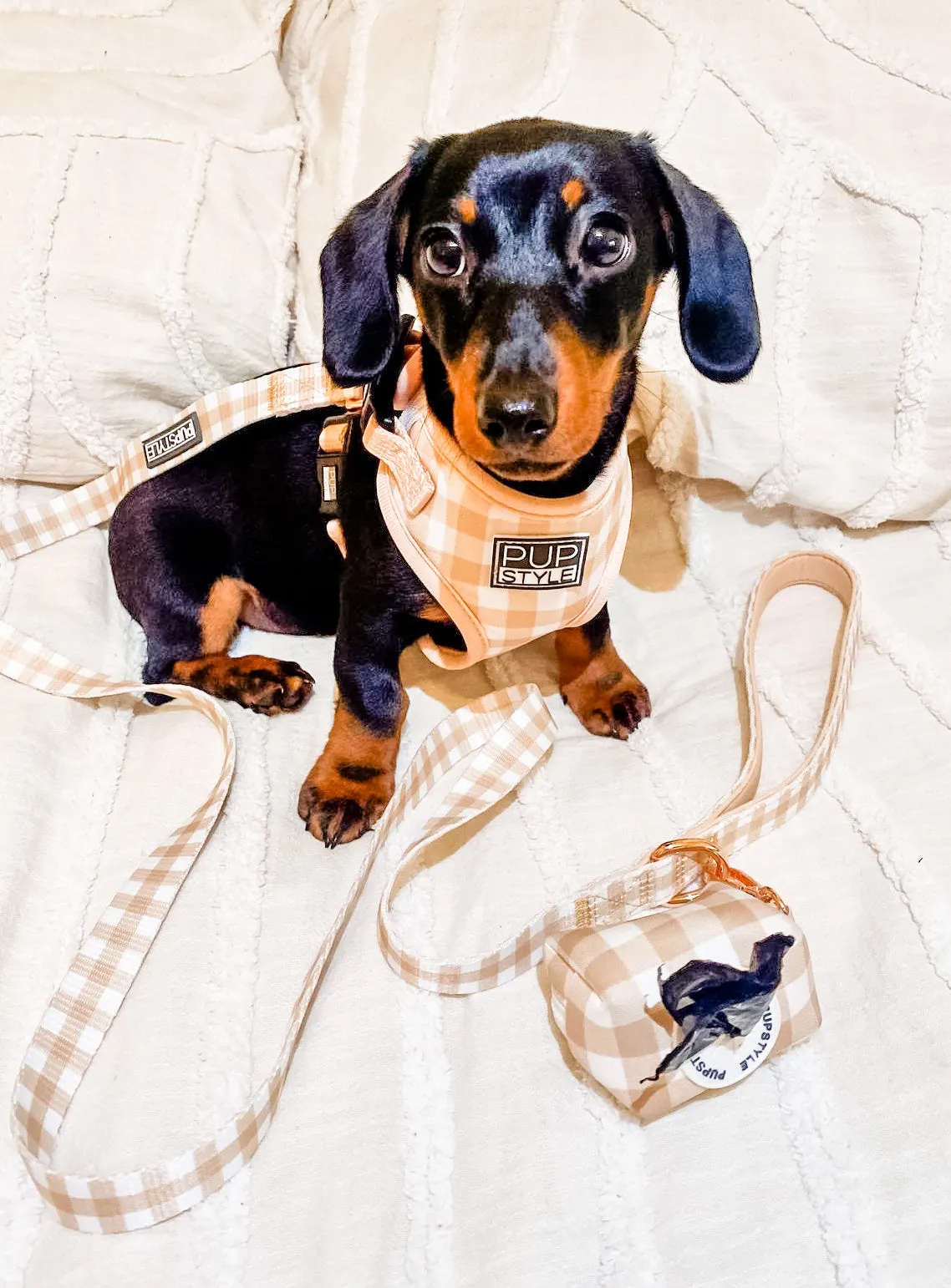 Creme Brulee Poop Bag Holder