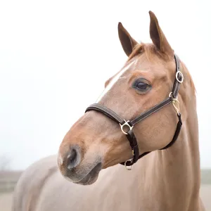 Horze Largo Leather Halter Brown