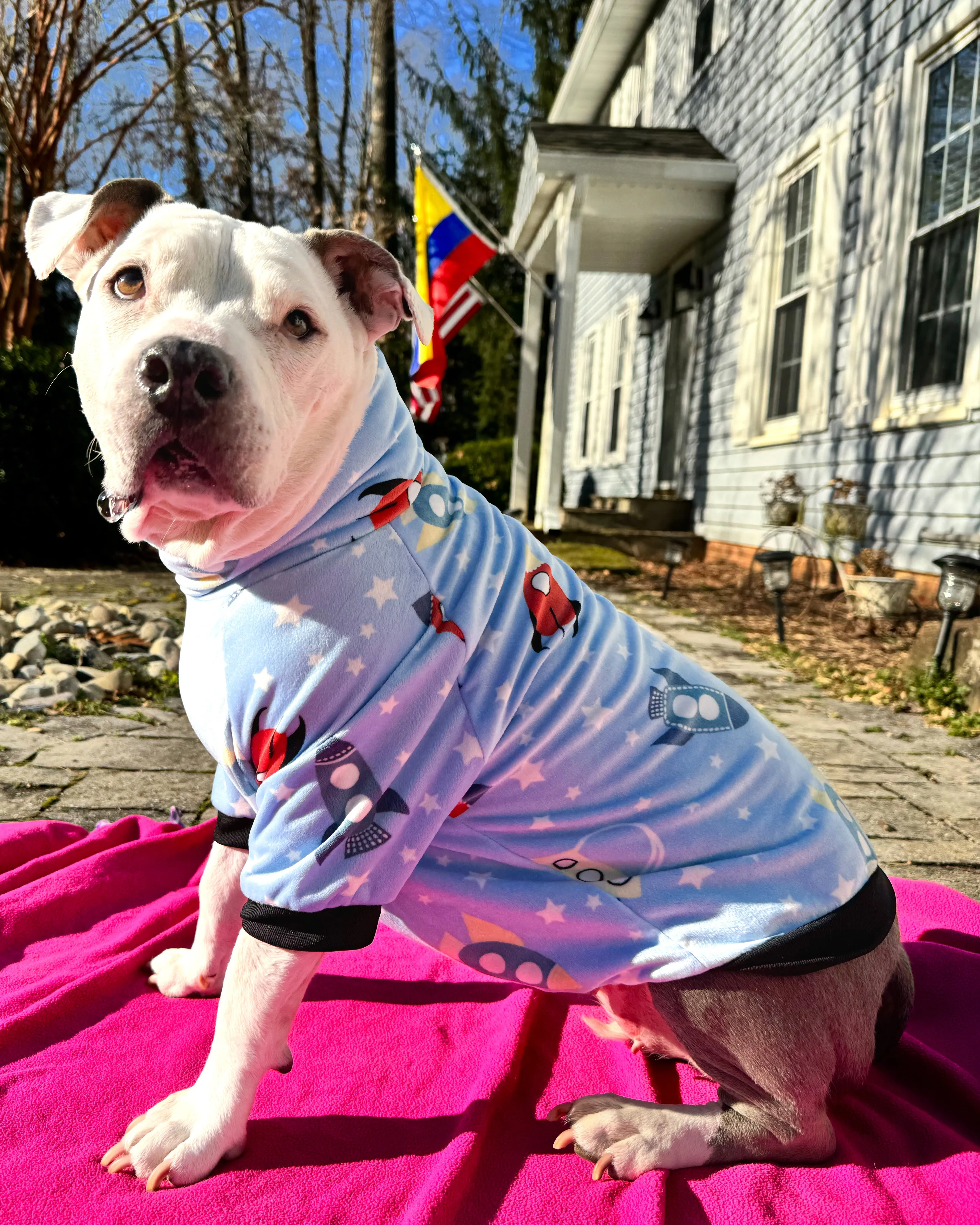 Rockets Shoot For The Sky - PAWjama Ultra-Luxe