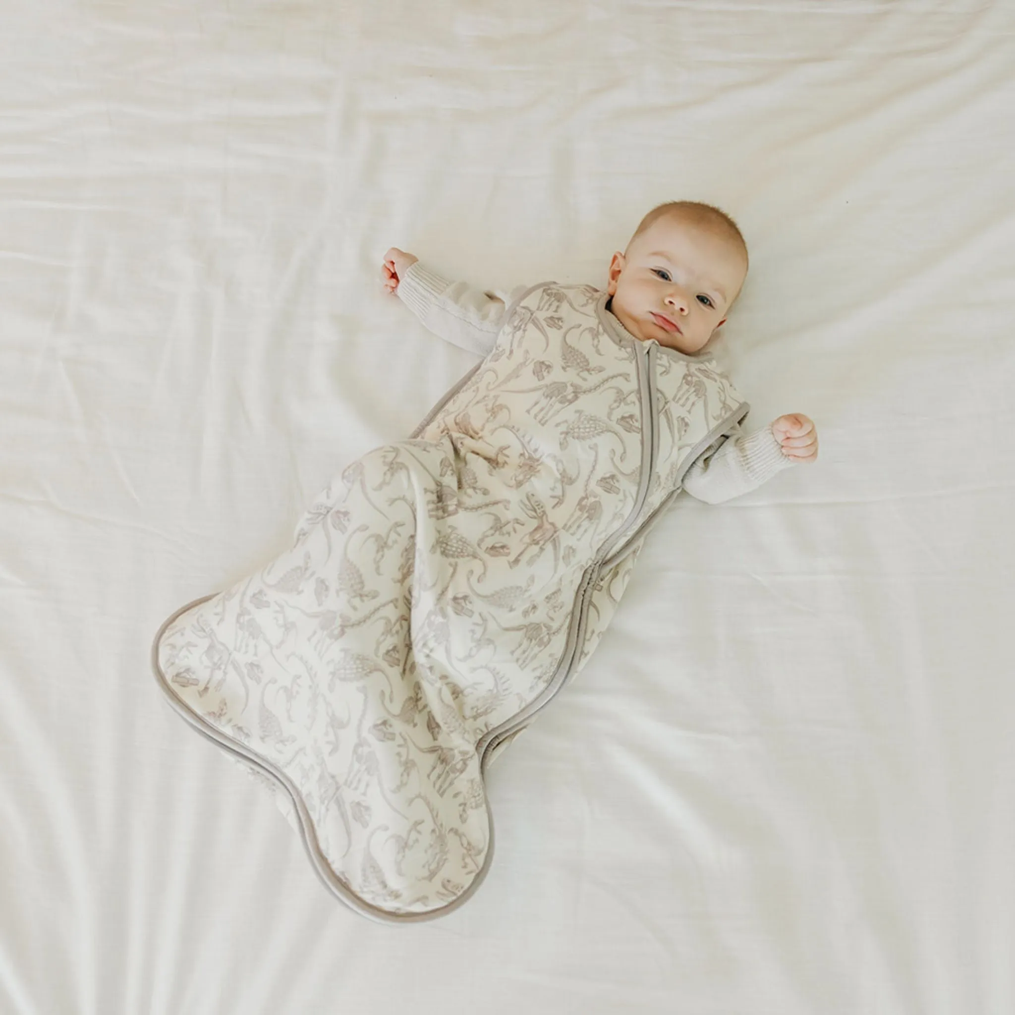 Sleep Bag - Jurassic Park Fossils