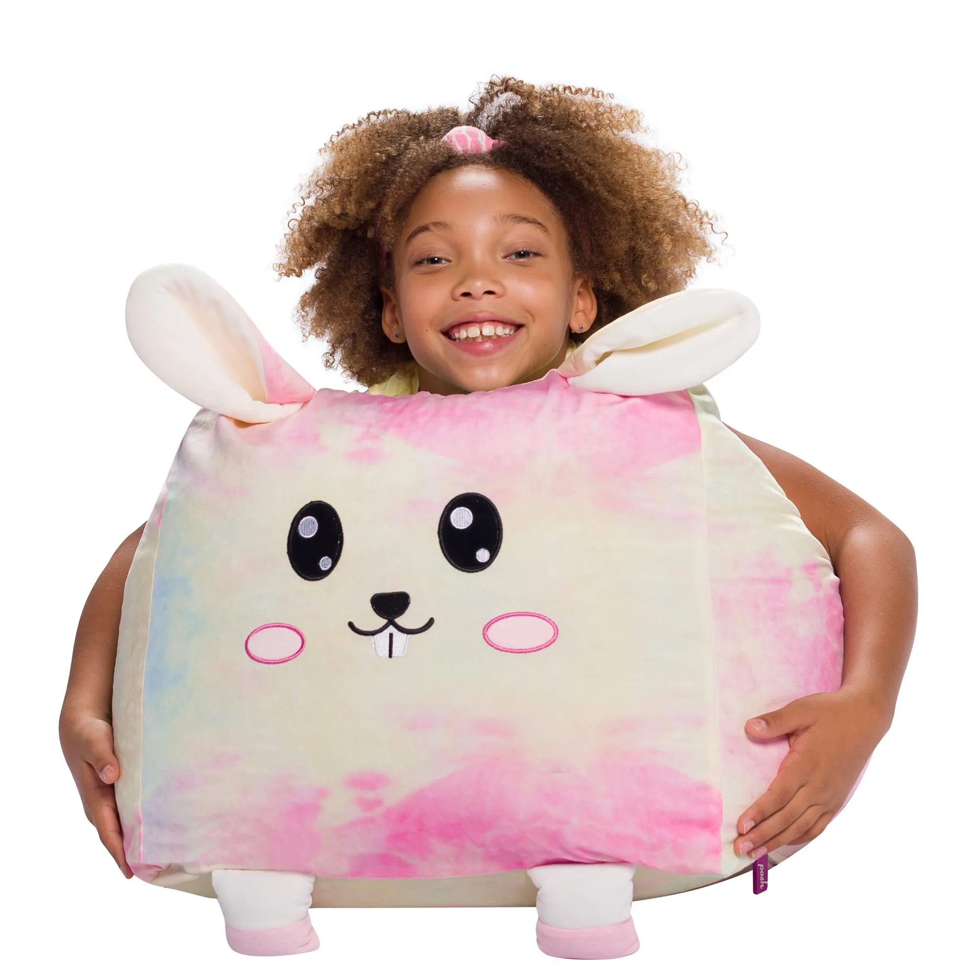 Stuffed Animal Storage Bean Bag Chair Cover only for Kids, Toy Holder