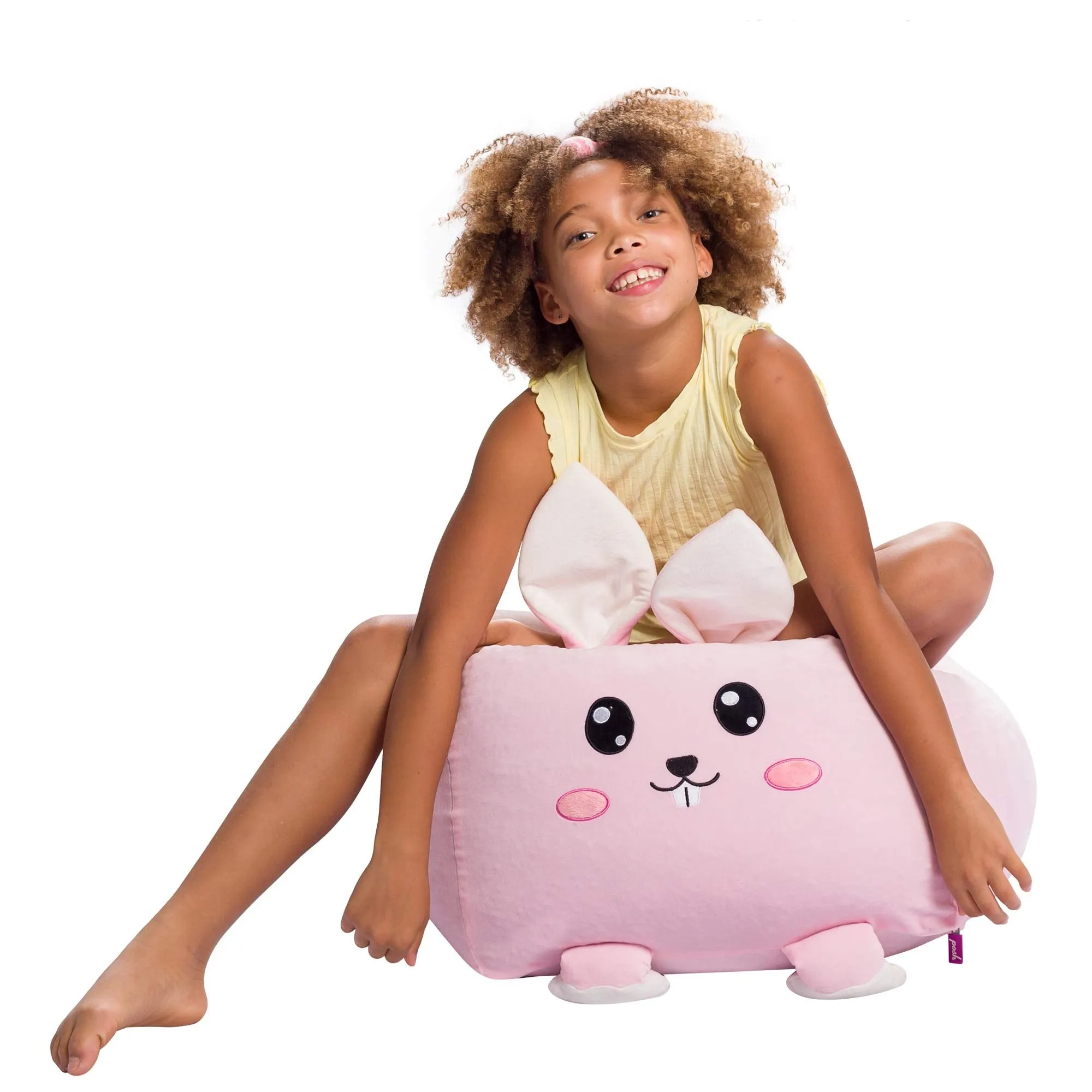 Stuffed Animal Storage Bean Bag Chair Cover only for Kids, Toy Holder